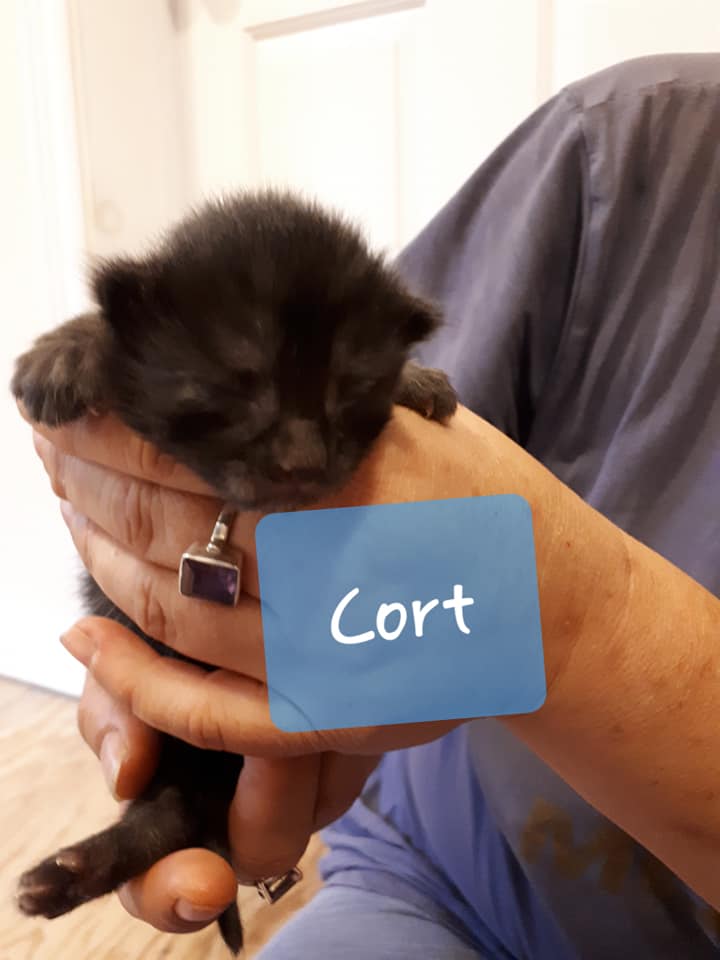 Cort, Digby – currently in foster care