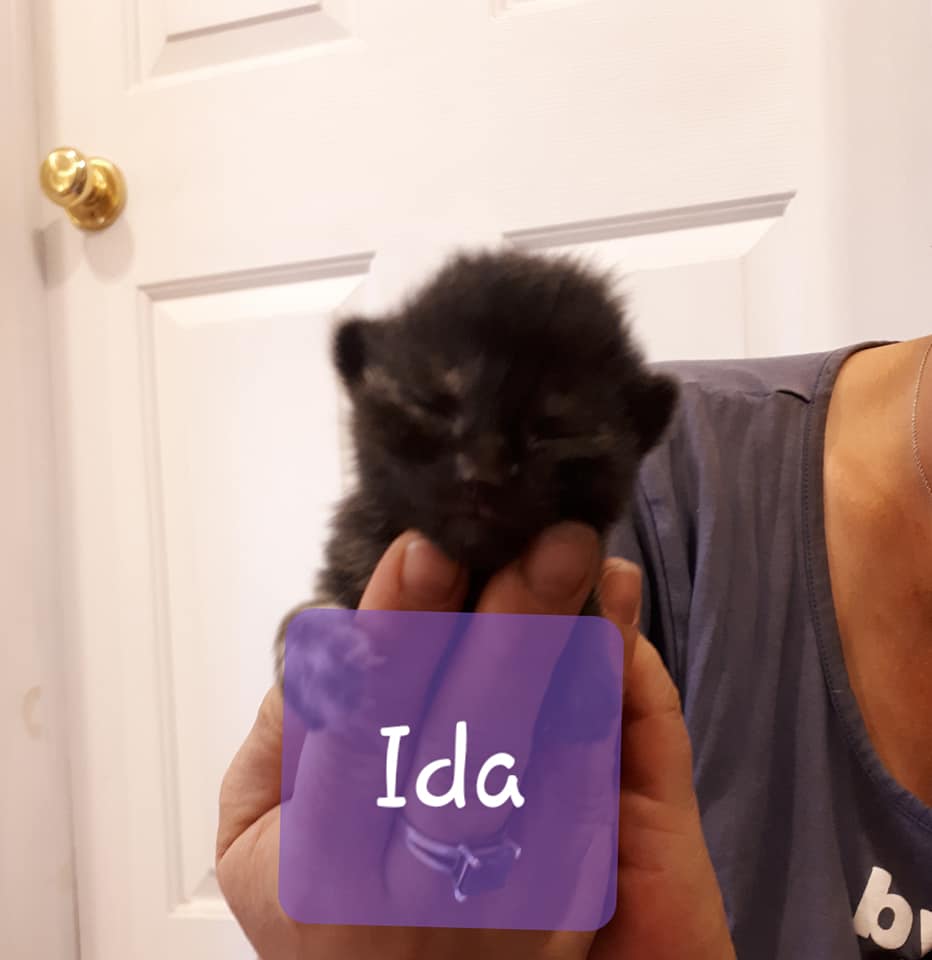 Ida, Digby – currently in foster care