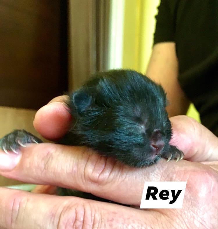 Rey, Bear River – currently in foster care