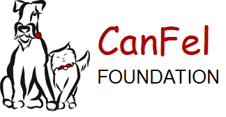 CanFel Foundation