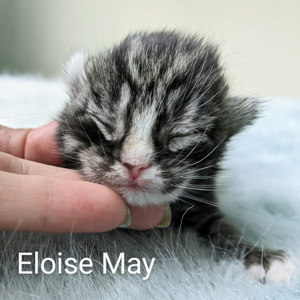 Eloise May – in foster care