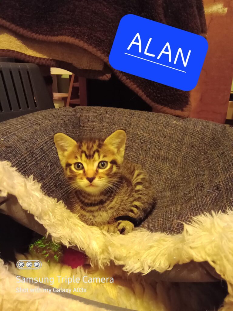 Alan – in foster care