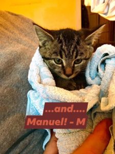 Manuel, Bear River - adopted through Tantallon